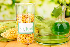 Leigh Beck biofuel availability